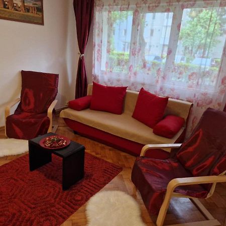 Petuniei Apartment Braşov Eksteriør billede