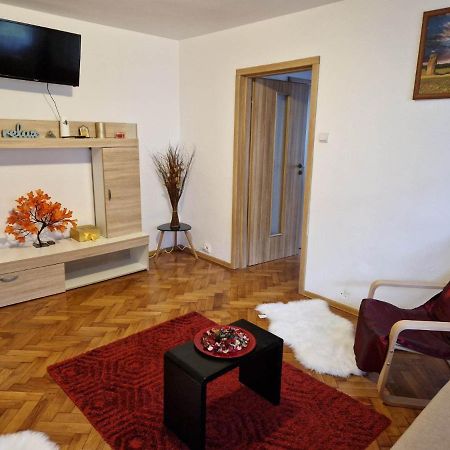 Petuniei Apartment Braşov Eksteriør billede