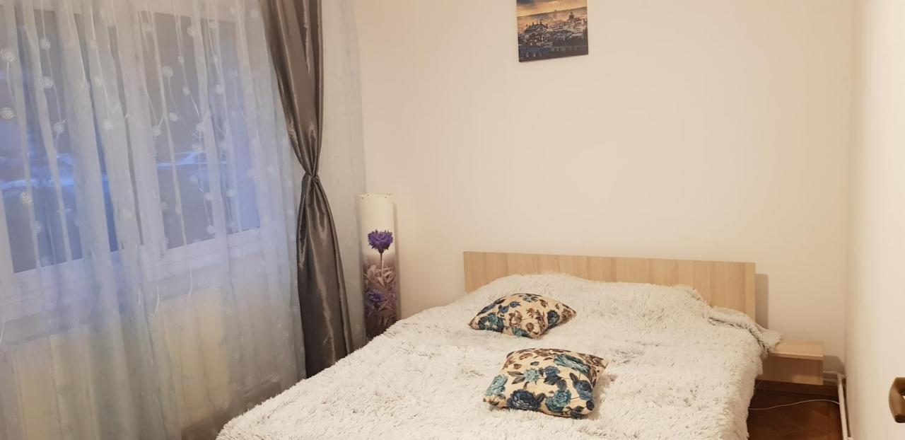 Petuniei Apartment Braşov Eksteriør billede