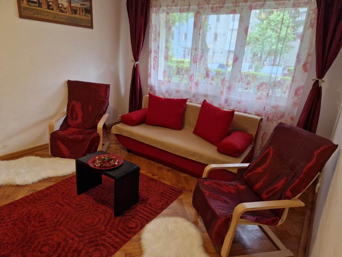 Petuniei Apartment Braşov Eksteriør billede