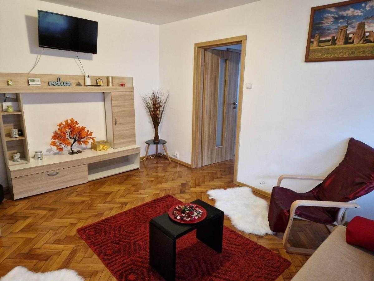 Petuniei Apartment Braşov Eksteriør billede