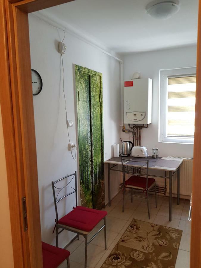 Petuniei Apartment Braşov Eksteriør billede
