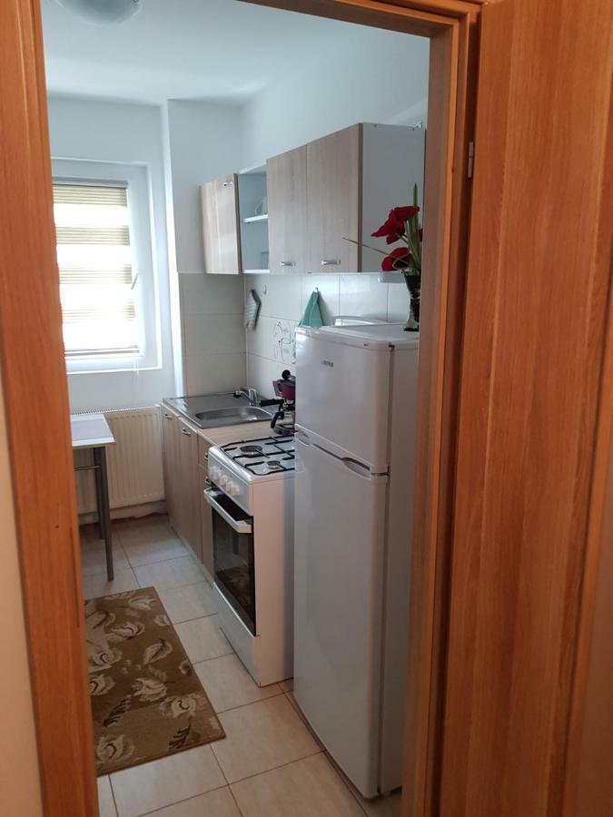 Petuniei Apartment Braşov Eksteriør billede