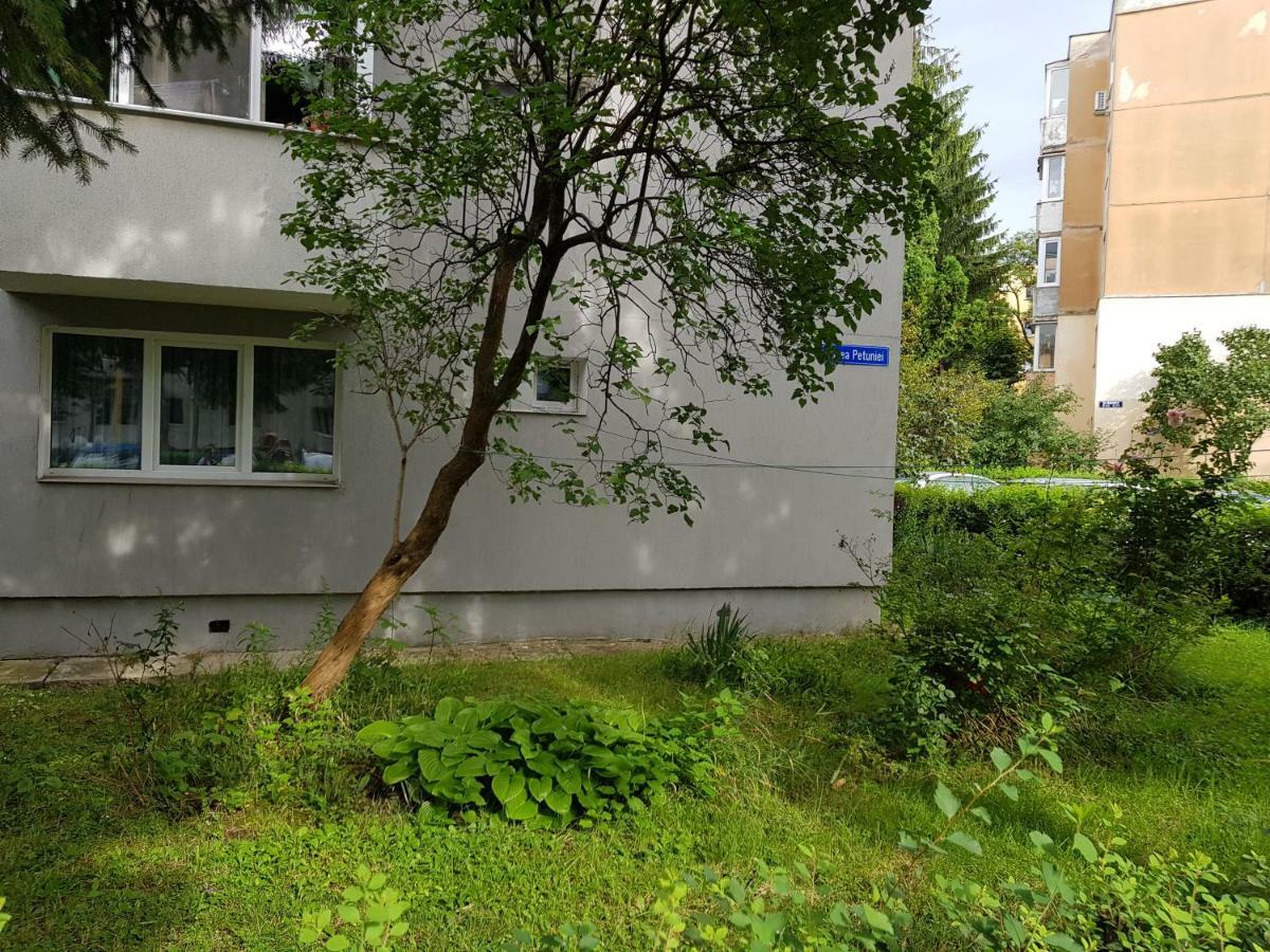 Petuniei Apartment Braşov Eksteriør billede