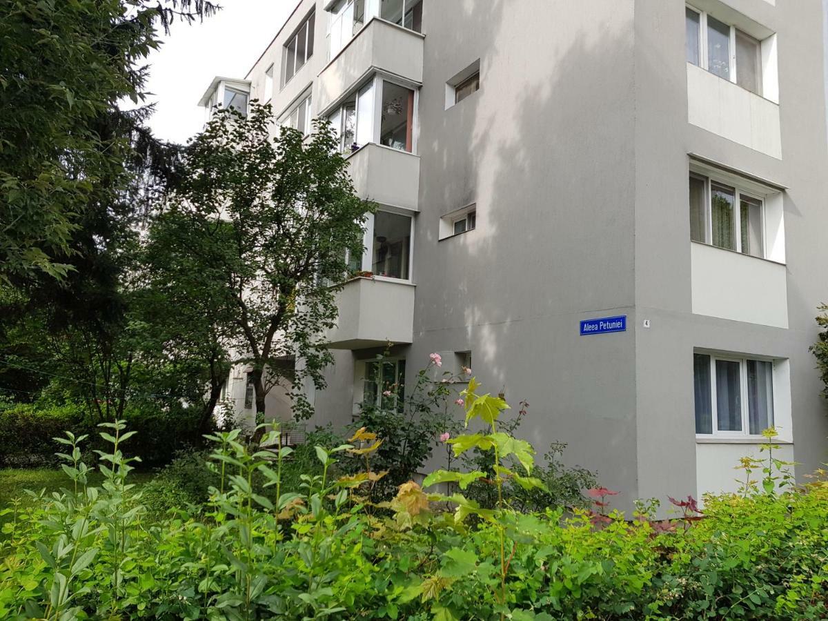 Petuniei Apartment Braşov Eksteriør billede
